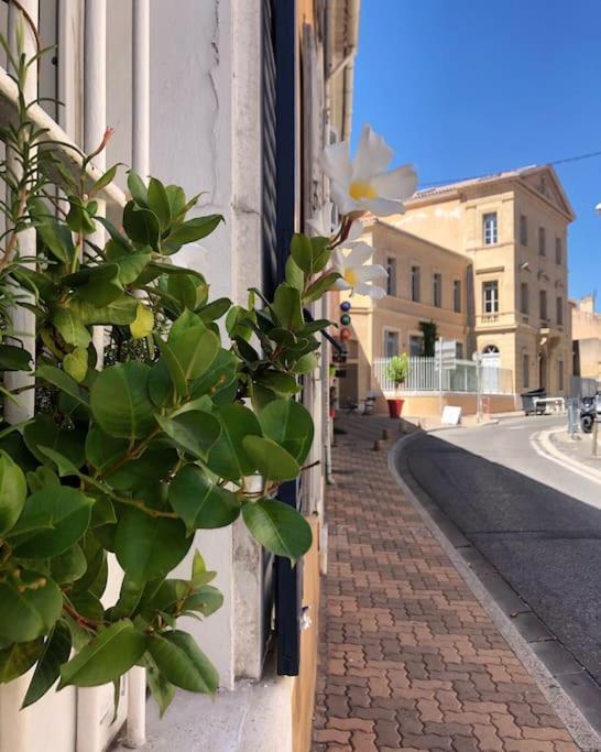 Studios Du Marin Sur Port De ลาซิโอตาต์ ภายนอก รูปภาพ